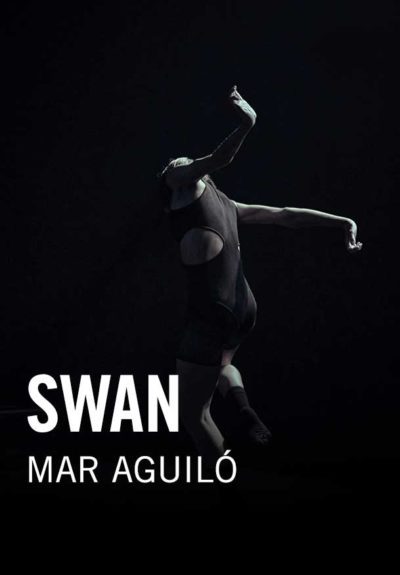 Mar Aguiló: Swan