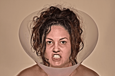 imagen del espectáculo teatral 'Animales de compañía'