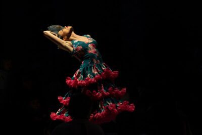 Imagen de Flamenco Emergente