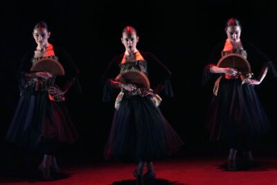 Imagen de Flamenco Emergente