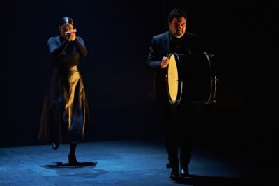 Imagen de Flamenco Emergente