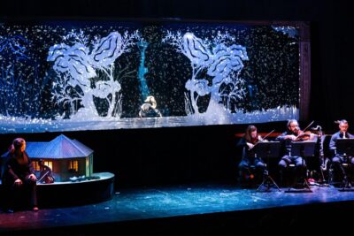 Imagen de Andersen, el Patito Feo