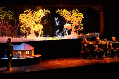 Imagen de Andersen, el Patito Feo