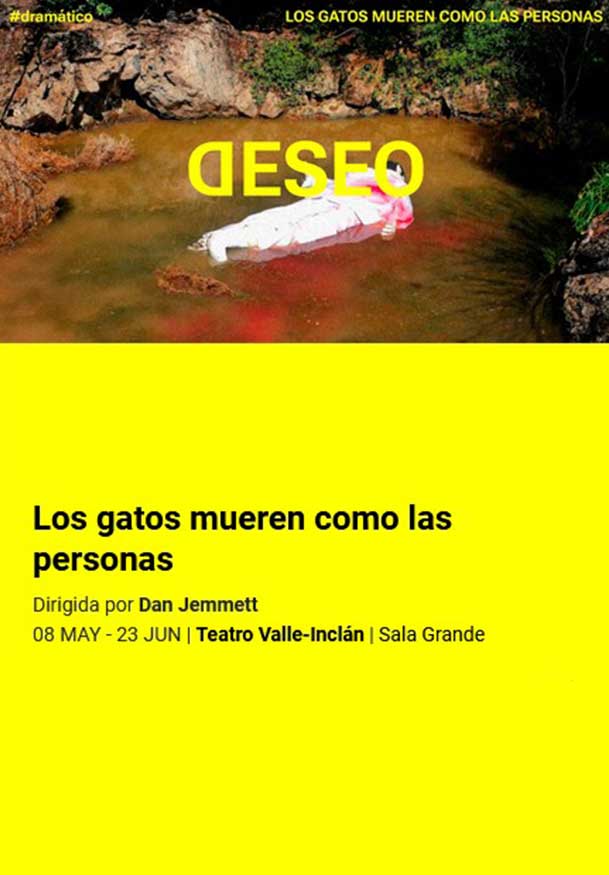 Los gatos mueren como las personas