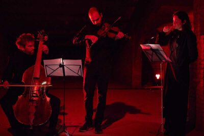 Mal Pelo: Double Infinite. The Bluebird Call