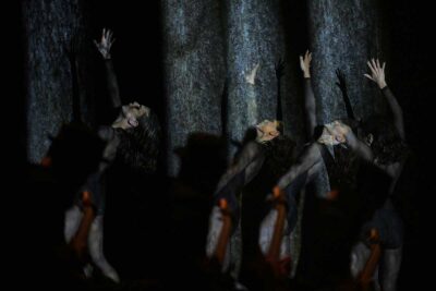 Imagen de Compañía de Sara Calero: El Renacer