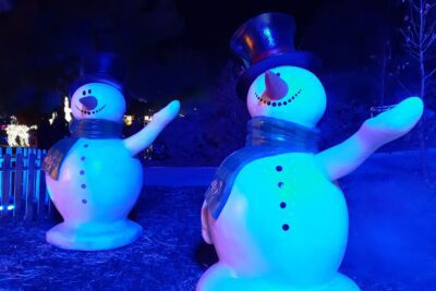 Imagen de Mágicas Navidades de Torrejón de Ardoz