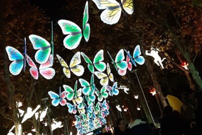 Imagen de Mágicas Navidades de Torrejón de Ardoz