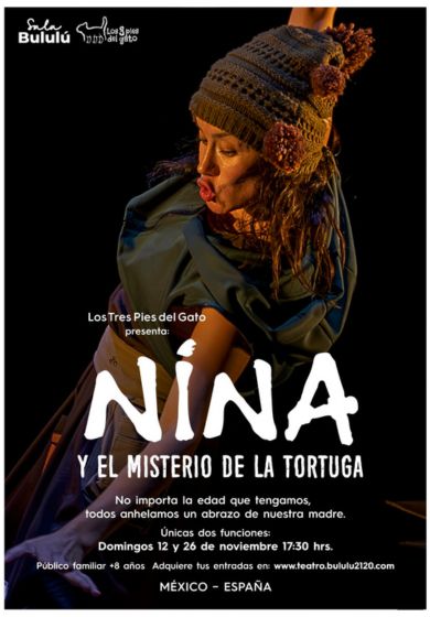 Nina y el misterio de la tortuga