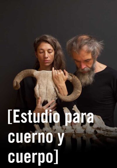 [Estudio para cuerno y cuerpo]