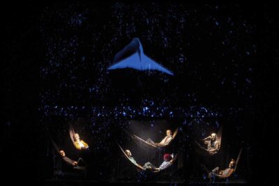 Imagen de Plexus Polaire: Moby Dick