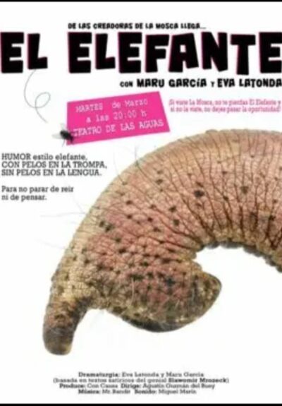 El elefante
