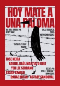 Hoy maté a una paloma