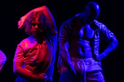 Imagen de Hoy maté a una paloma