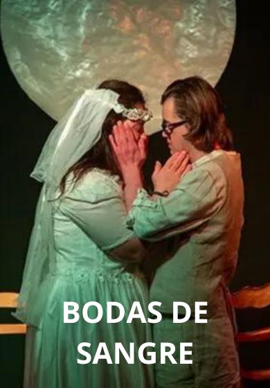 Bodas de sangre - Almudena Santos Heredero