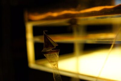 Imagen de Arturo y Clementina