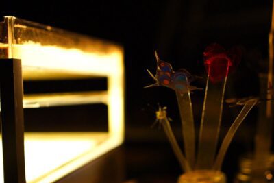 Imagen de Arturo y Clementina