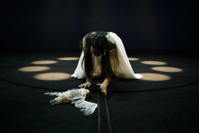 Imagen de La Gaviota de Chela de Ferrari