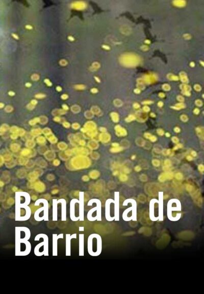 Bandada de Barrio