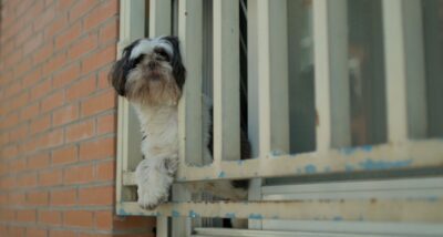 Colectivo Drift: «Esta pieza pone la mirada en la reflexión sobre todo esto que son los barrios, nuestros entornos, la vida en las ciudades»