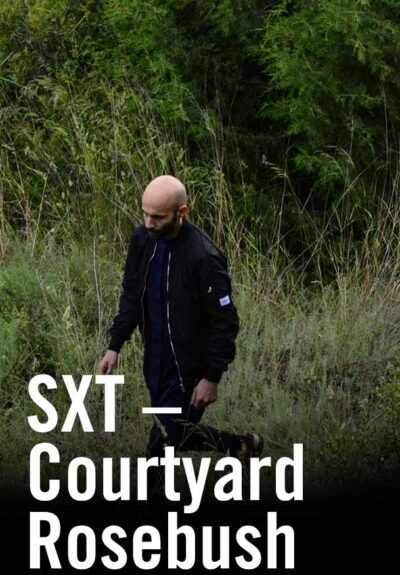 SXT – Courtyard Rosebush