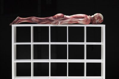 Imagen de Affordable Solution for Better Living - Théo Mercier