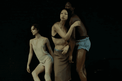 Imagen de Swans - Mar Aguiló