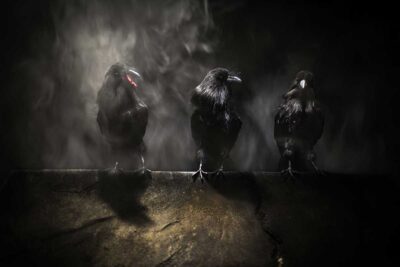 Imagen de Cenerentola