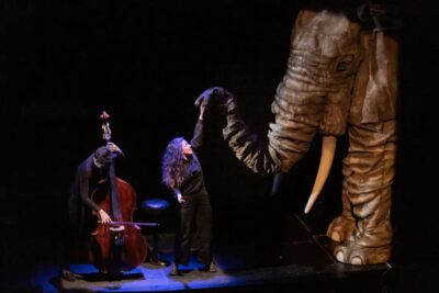 TEATRO-MADRID-SOÑANDO-EL-CARNAVAL-DE-LOS-ANIMALES-1