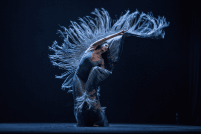 Imagen de Suma Flamenca 2024: XIX Festival Flamenco de la Comunidad de Madrid en los Teatros del Canal