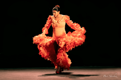 Imagen de Suma Flamenca 2024: XIX Festival Flamenco de la Comunidad de Madrid en los Teatros del Canal