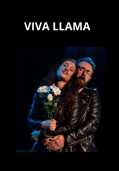 Viva llama. Cancionero de amor de todos los tiempos