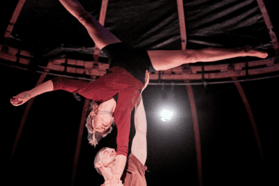 Imagen de Reclaim