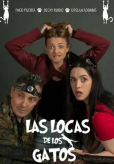 Las locas de los gatos
