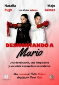Desmontando a Mario