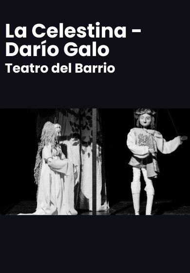 La Celestina - Darío Galo