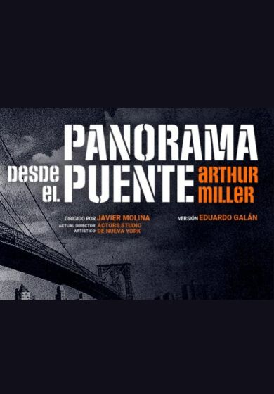 Panorama desde el puente