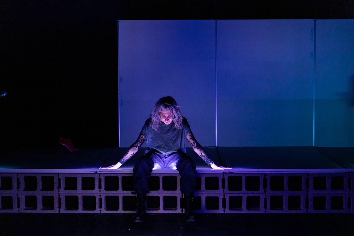 TEATRO-MADRID-TEORIA-KING-KONG-4