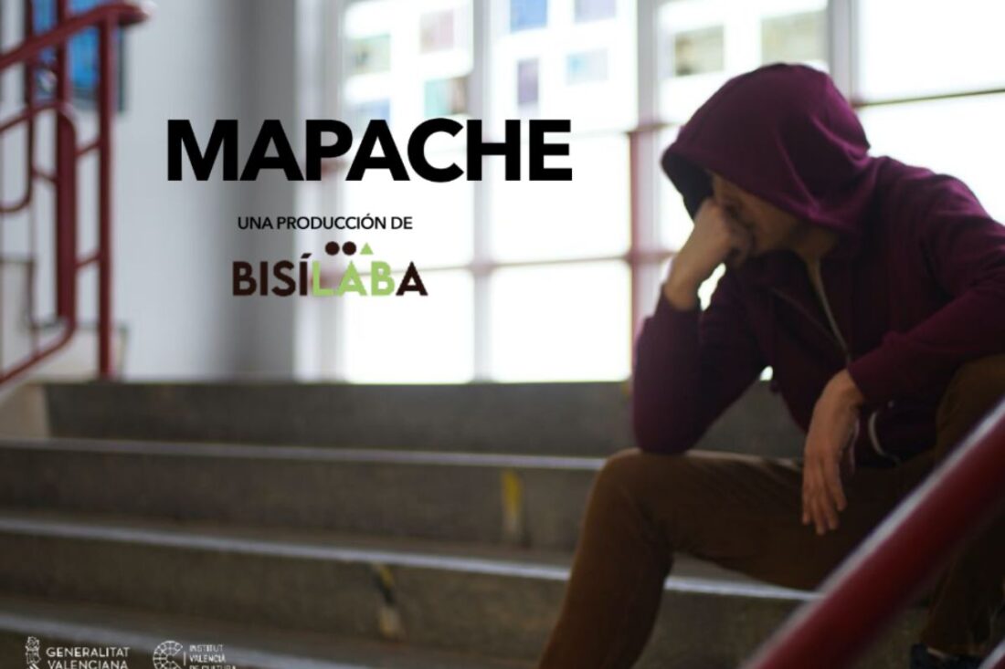 Mapache