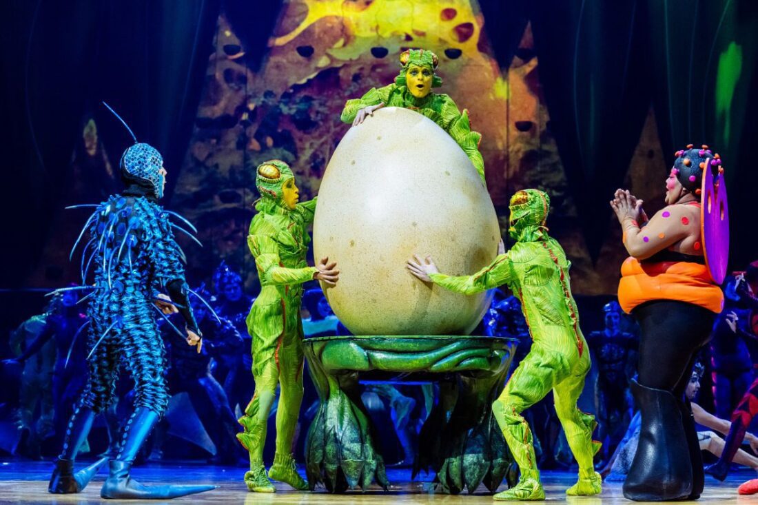 Cirque du soleil: OVO