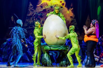 Imagen de OVO de Cirque du Soleil