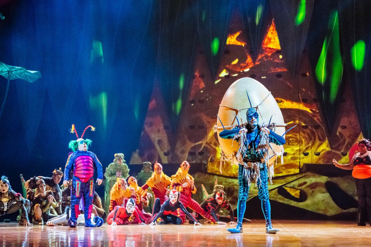 Imagen de OVO de Cirque du Soleil