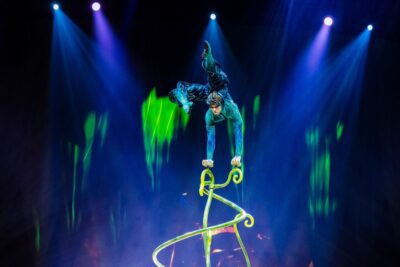 Imagen de OVO de Cirque du Soleil