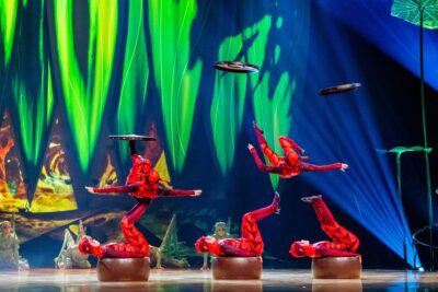 Imagen de OVO de Cirque du Soleil