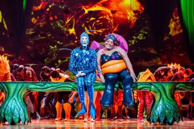 Imagen de OVO de Cirque du Soleil