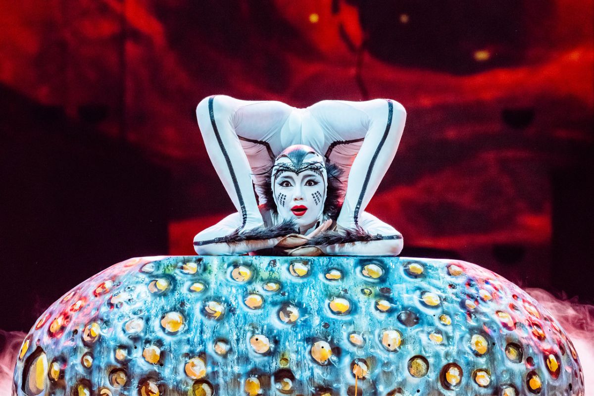 Imagen de OVO de Cirque du Soleil