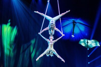 Imagen de OVO de Cirque du Soleil
