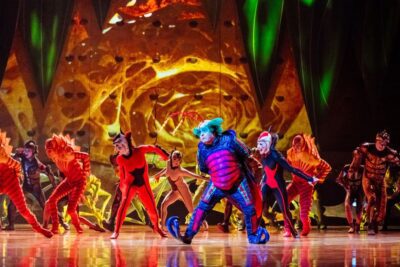 Imagen de OVO de Cirque du Soleil