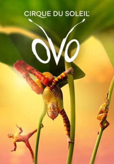 Cirque du soleil: OVO