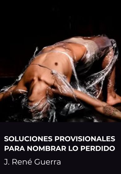 Soluciones provisionales para nombrar lo perdido